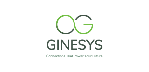 ginesys